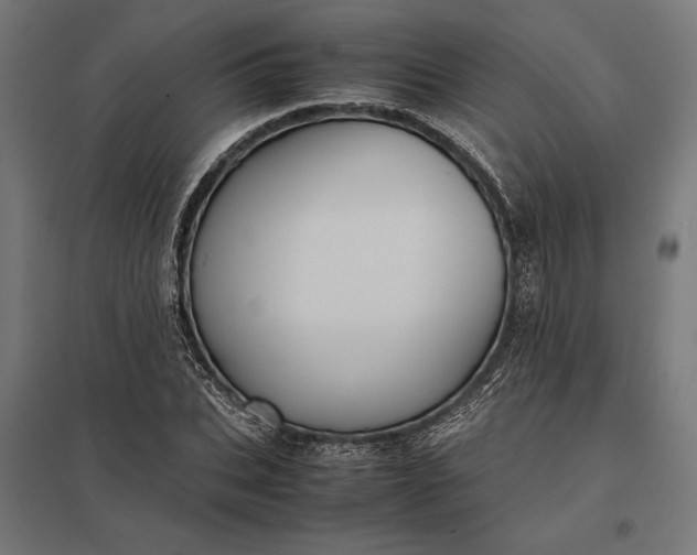 X0000097900927200803281336