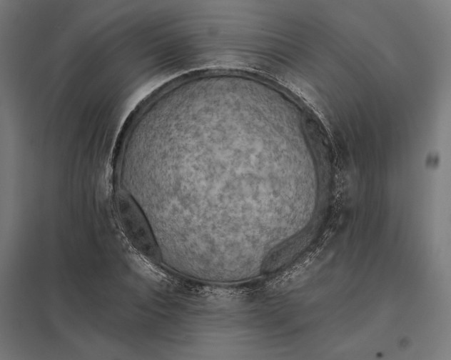 X0000097900928200803281336