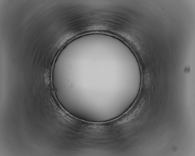 X0000097900929200803281336