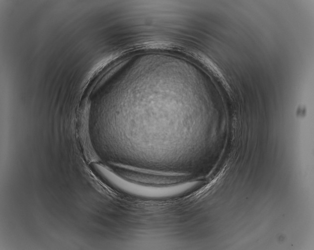 X0000097900930200803281336