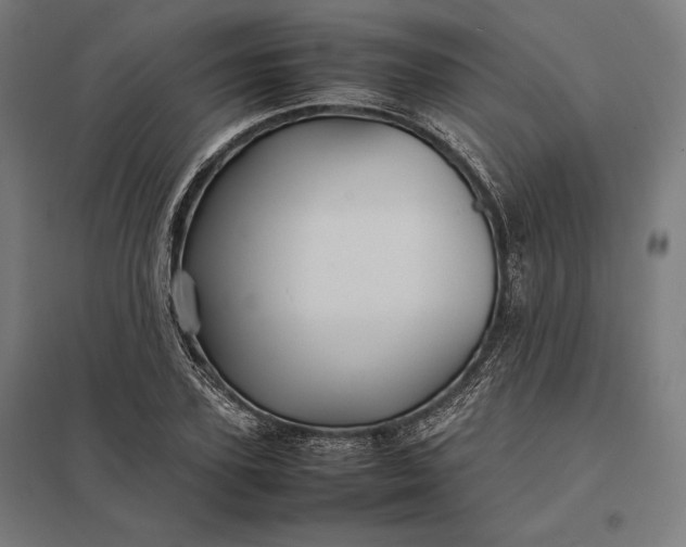 X0000097900931200803281336