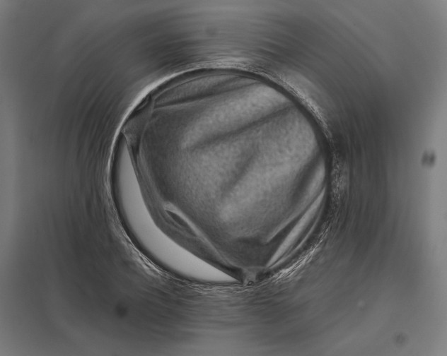 X0000097900932200803281336