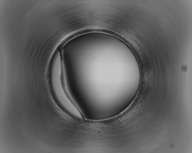 X0000097900934200803281336