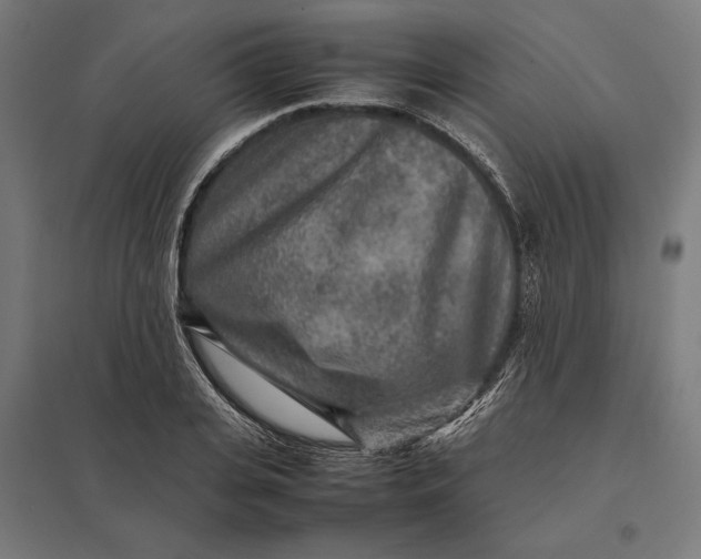 X0000097900935200803281336