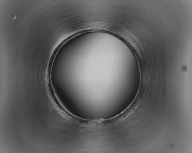 X0000097900936200803281336