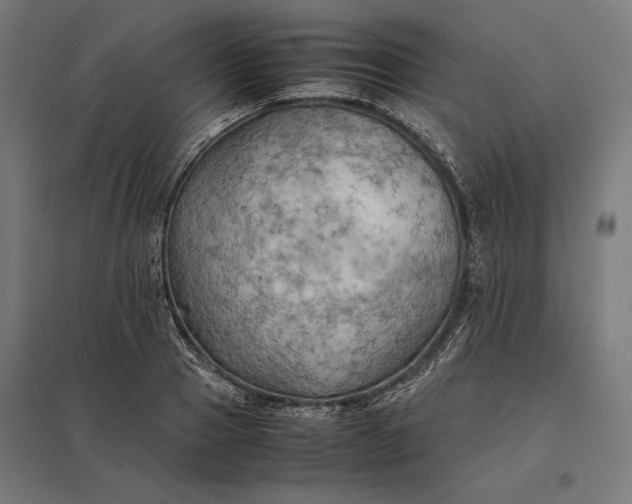 X0000097900937200803281336