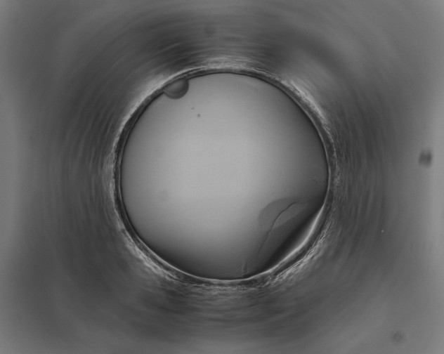 X0000097900941200803281336