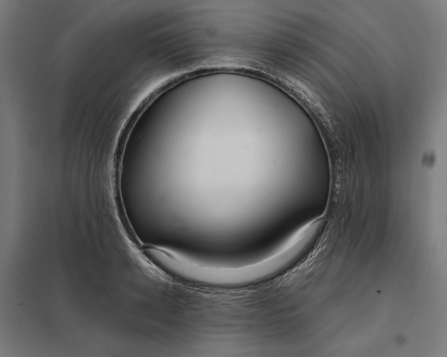 X0000097900942200803281336