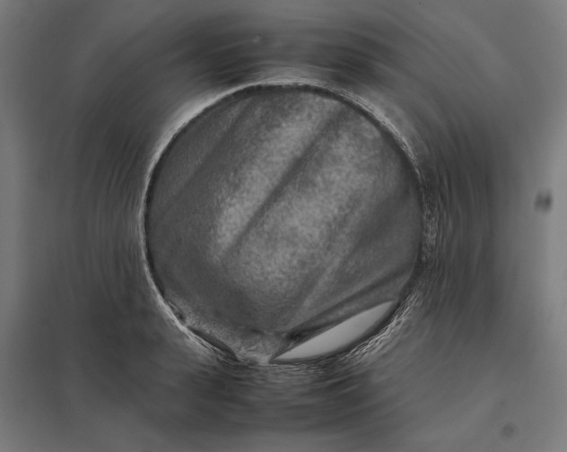 X0000097900943200803281336