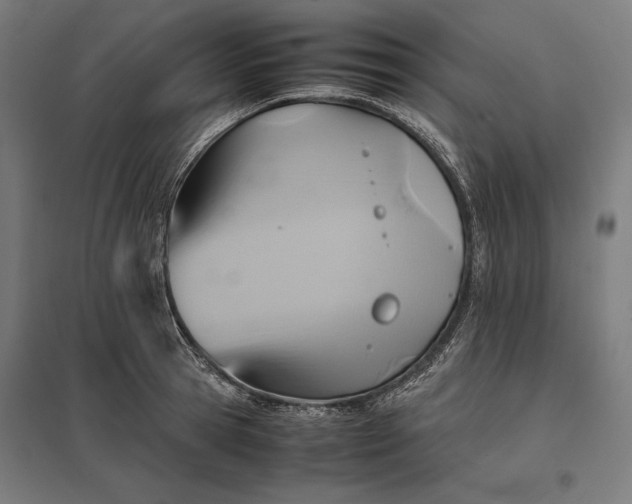 X0000097900945200803281336