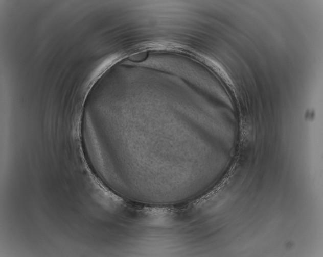 X0000097900946200803281336