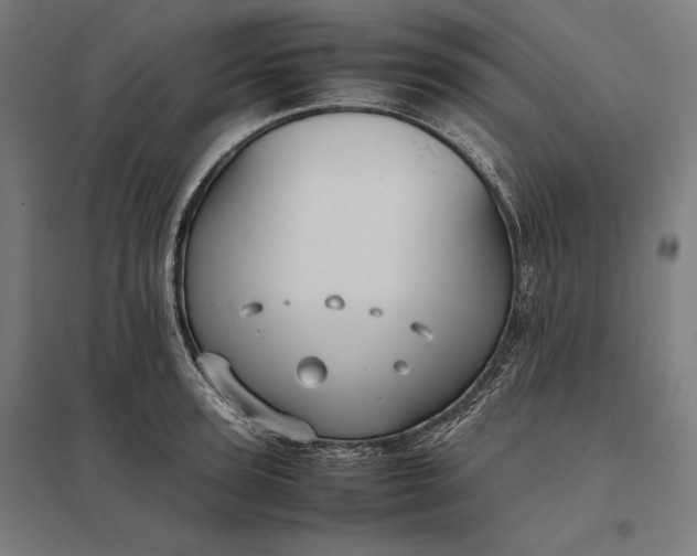 X0000097900947200803281336