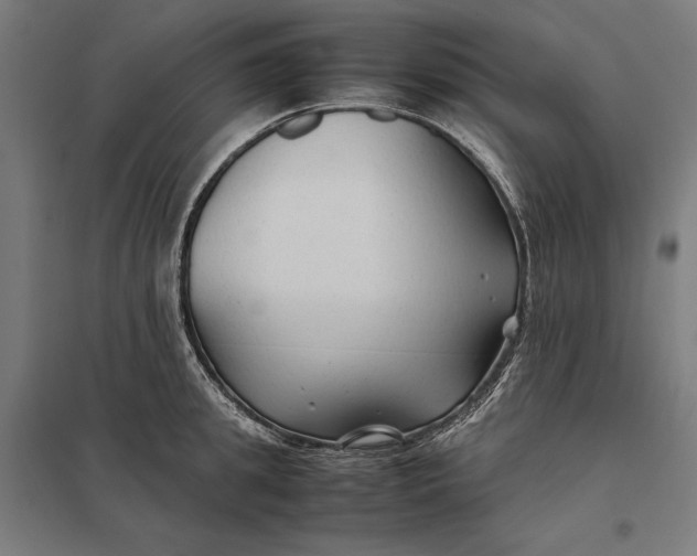 X0000097900949200803281336