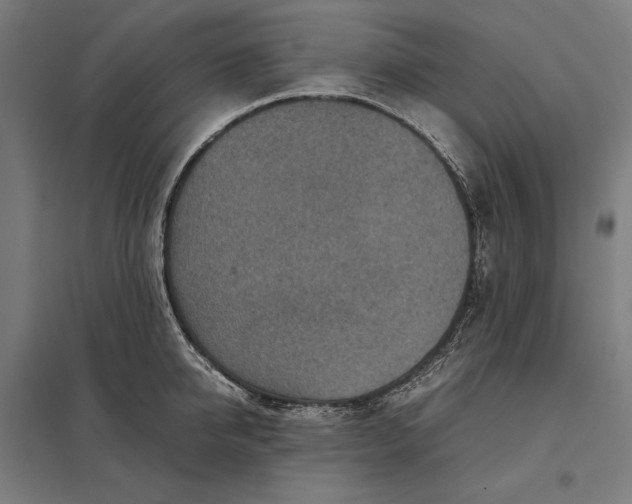 X0000097900950200803281336