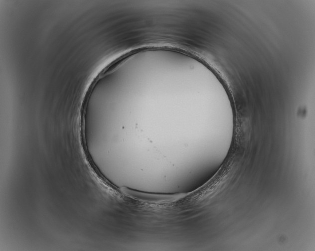 X0000097900951200803281336