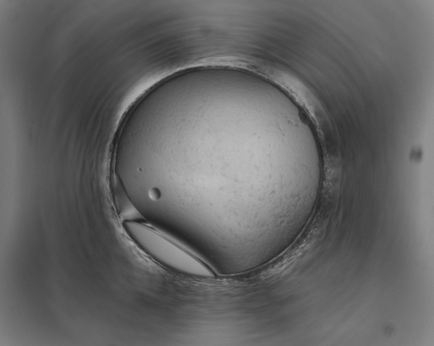 X0000097900952200803281336