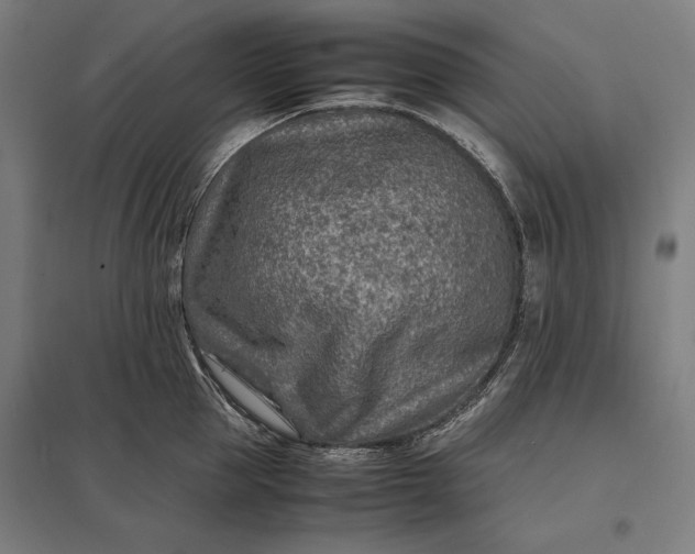 X0000097900953200803281336