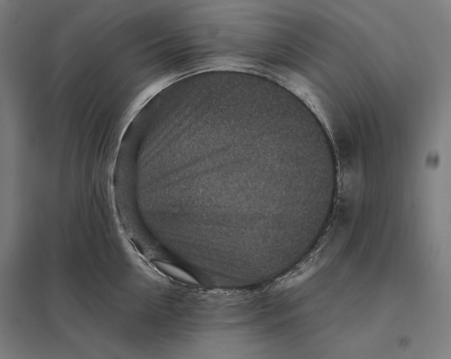 X0000097900954200803281336