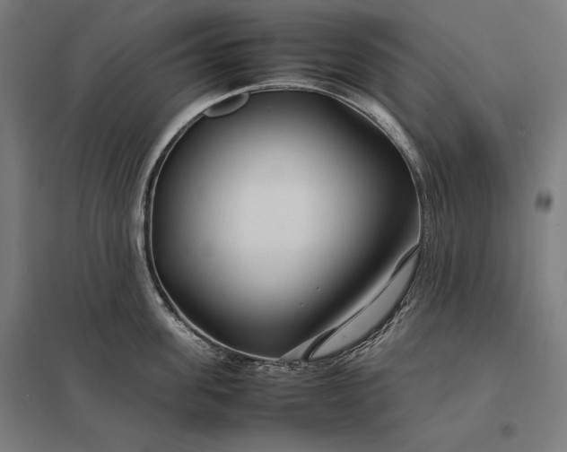 X0000097900955200803281336