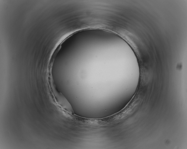 X0000097900956200803281336