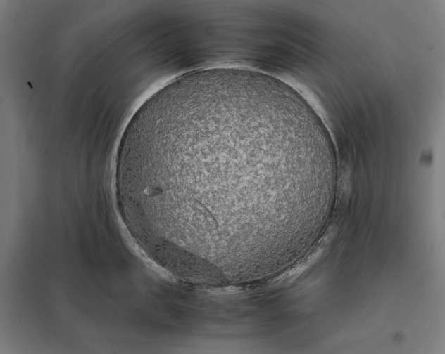 X0000097900957200803281336