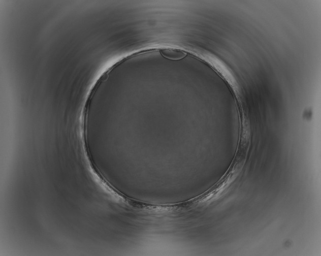 X0000097900958200803281336