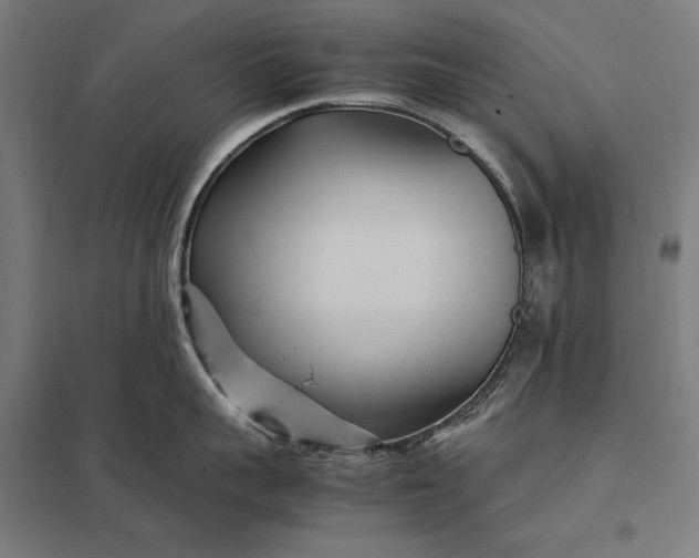 X0000097900959200803281336