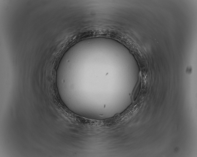 X0000097900961200803281336