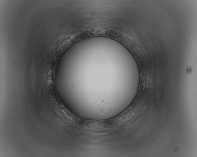 X0000097900962200803281336