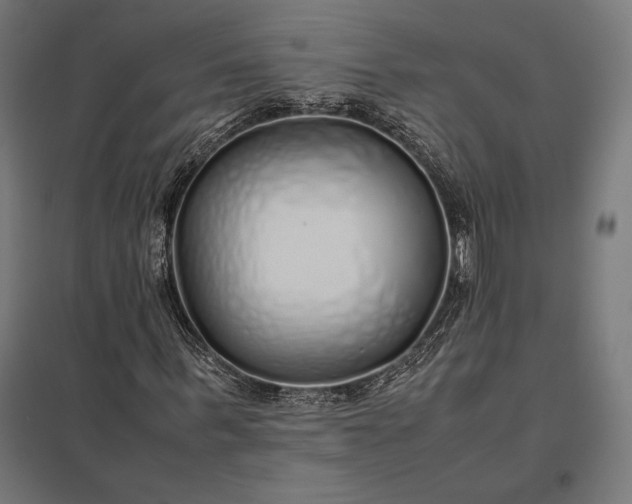 X0000097900963200803281335