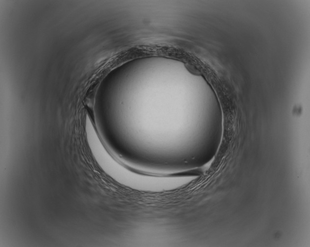 X0000097900965200803281335