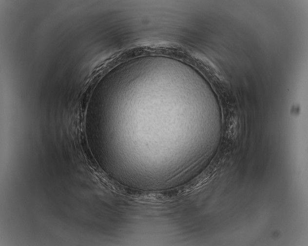 X0000097900966200803281335