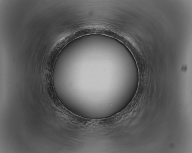 X0000097900967200803281335