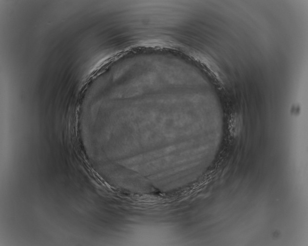 X0000097900968200803281335