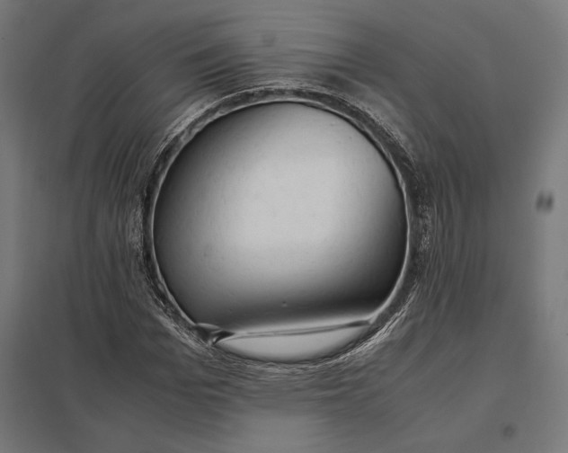 X0000097900969200803281335