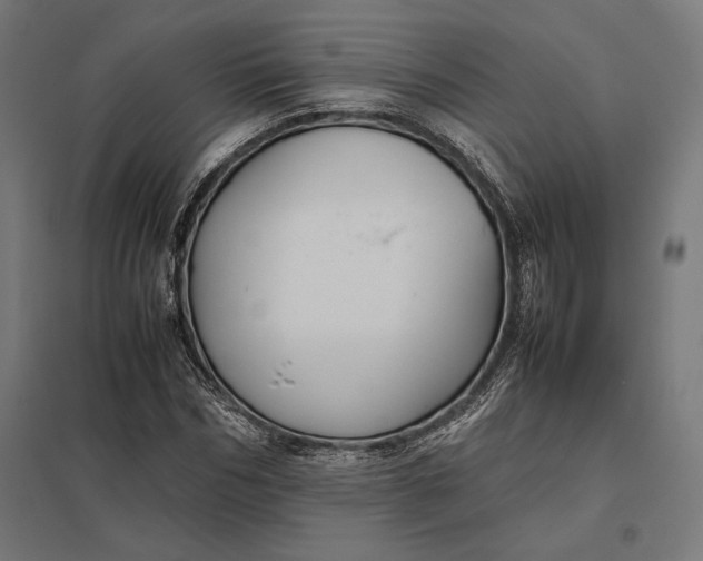 X0000097900970200803281335