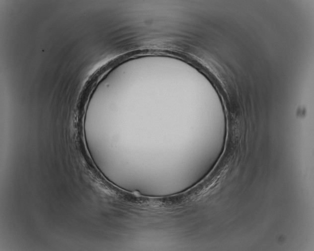 X0000097900971200803281335