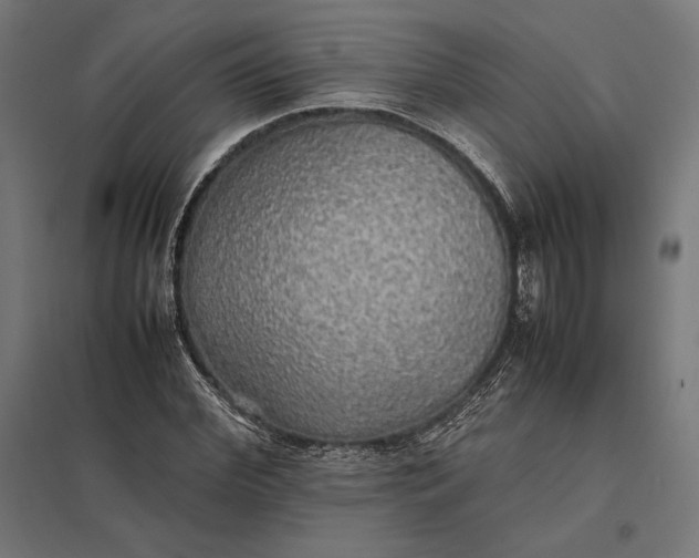 X0000097900972200803281335