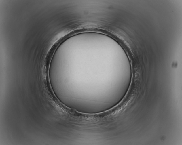 X0000097900973200803281335