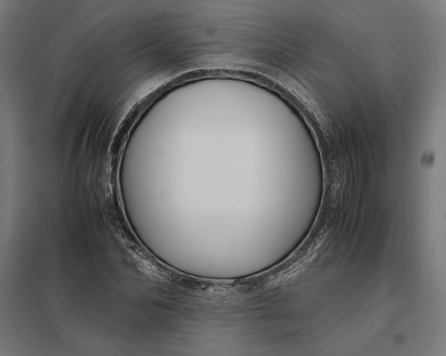 X0000097900974200803281335