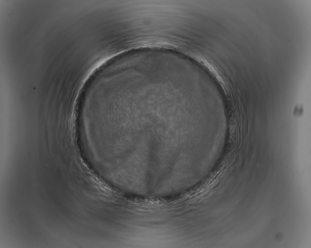 X0000097900975200803281335