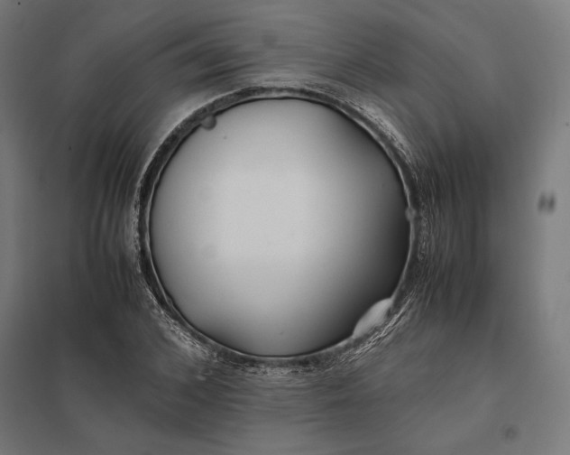 X0000097900976200803281335