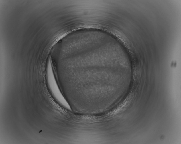 X0000097900977200803281335