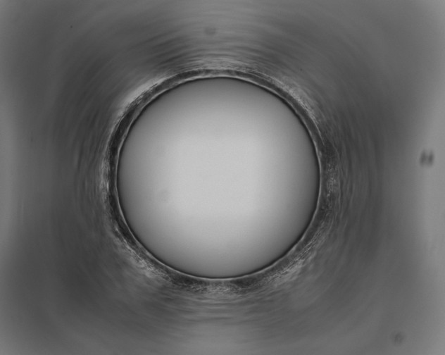 X0000097900979200803281335