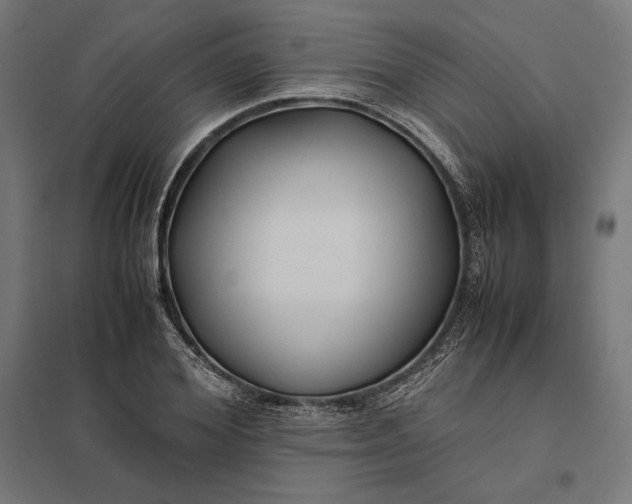 X0000097900980200803281335