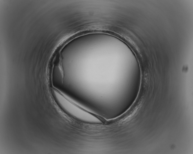 X0000097900981200803281335