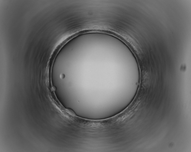 X0000097900982200803281335