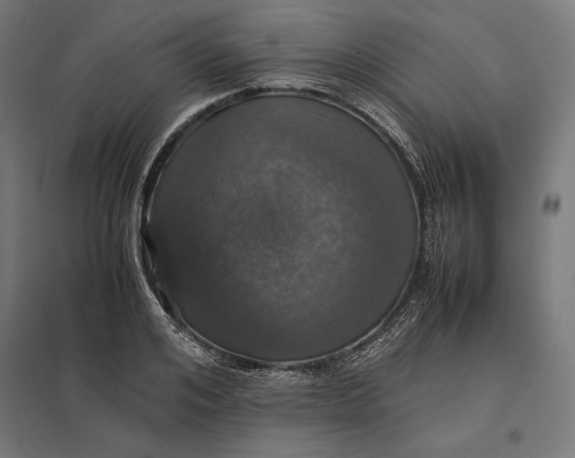 X0000097900984200803281335