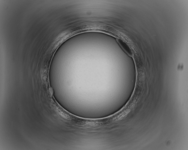 X0000097900985200803281335