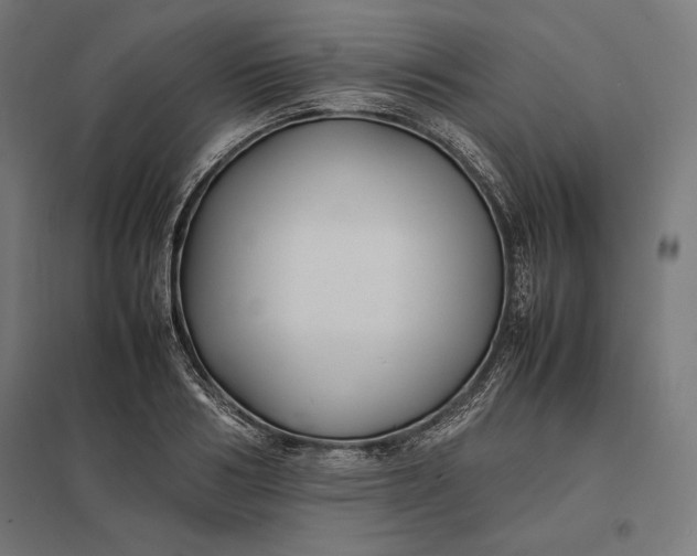 X0000097900986200803281335